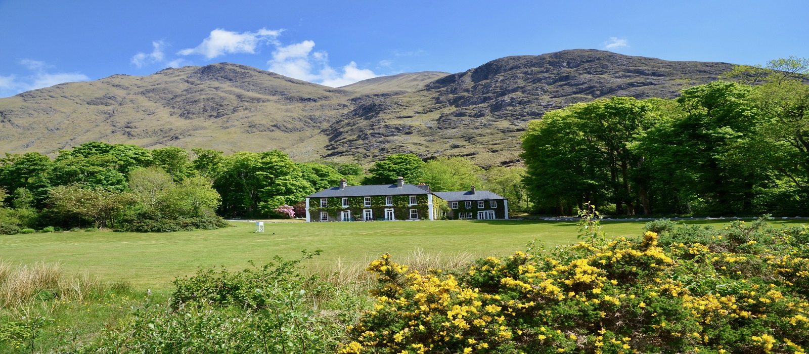 Delphi Lodge